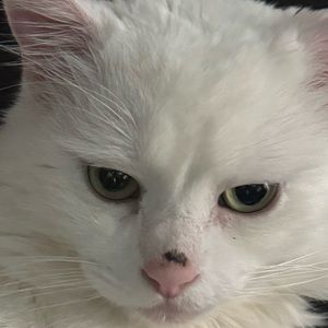 Meet your Posher, Natalia